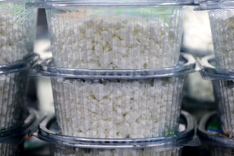 Дрожжи в 45 раз сверх нормы: какой творог не стоит покупать в Петербурге