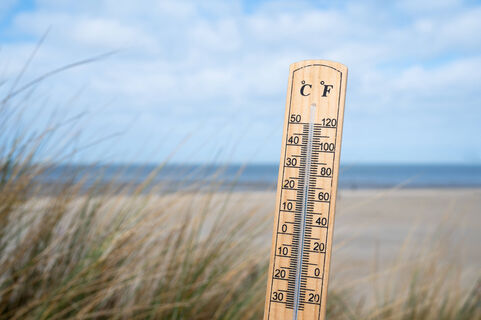 Температурные качели и «черемуховые» холода: прогноз погоды на май 2026 в регионах России