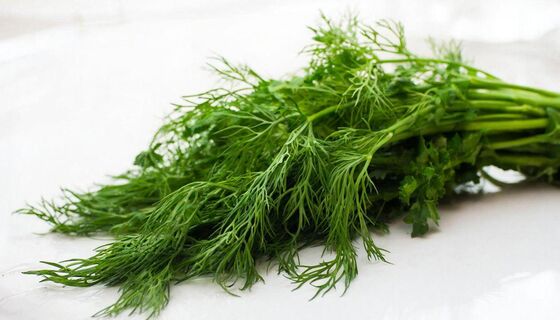 Соседка раскрыла секрет — укроп взошёл за 5 дней: делюсь проверенным методом