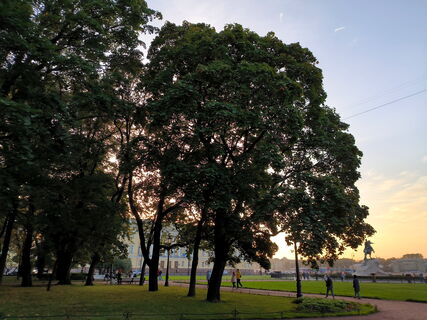 Золотая черёмуха, вырванные цикасы и коварные ветки: Александровский парк открылся после сильнейшего шторма за 30 лет