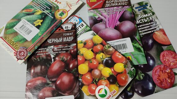 Как выбрать качественные семена в 2026 году: 3 важные надписи на пачке - взойдут все до единого 