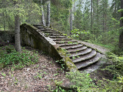 село под Петербургом, которое превратилось в руины