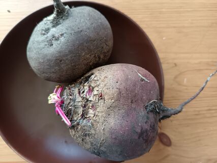 По 3 часа свеклу не варю: 10 минут — и готова даже крупная: сочная, не водянистая, ярче граната