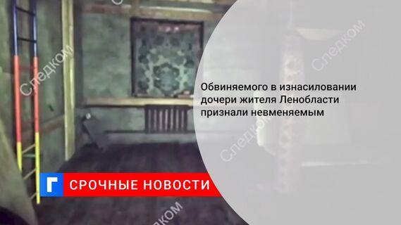 Обвиняемого в изнасиловании дочери жителя Ленобласти признали невменяемым