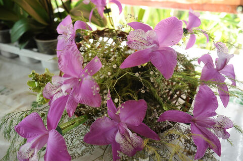 Благоухают месяц: как продлить жизнь букетам, подаренным на 8 марта - минимальный, но важный уход