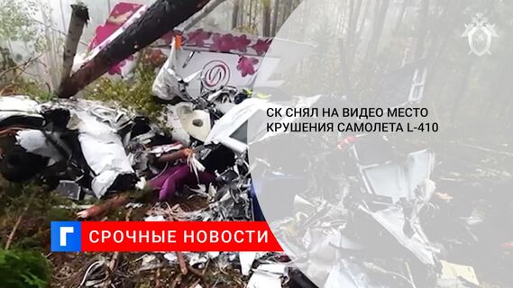 СК снял на видео место крушения самолета L-410