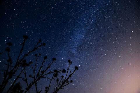 Городовой ру