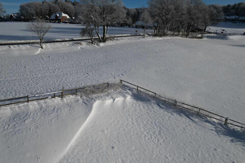 Сугробы и лютые морозы – не угроза: как защитить сад от аномальной зимы – 4 важных действия в феврале