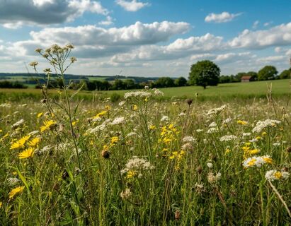Больше спину гнуть не придется: агроном рассказал, как вывести сныть с участка – эффективность 100%