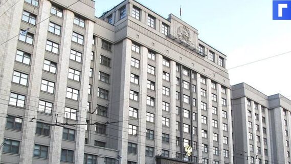 Госдума приняла поправки о мерах поддержки семей с детьми Госдума приняла поправки о мерах поддержки семей с детьми
