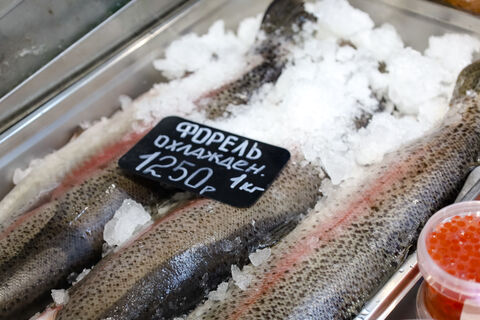 Рыба с икрой