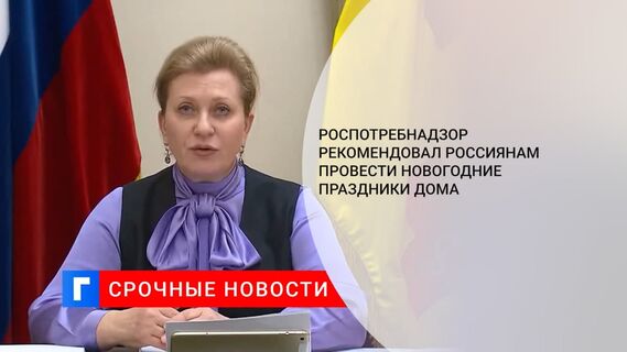 Попова рекомендовала россиянам провести новогодние праздники дома