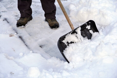 Набрасывать ли снег в теплицу: 5 причин не лениться - зачем это нужно и как не навредить почве