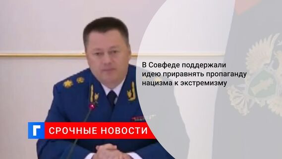 В Совфеде поддержали идею приравнять пропаганду нацизма к экстремизму