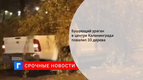 Бушующий ураган в центре Калининграда повалил 33 дерева