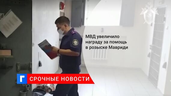 МВД увеличило награду за помощь в розыске Мавриди