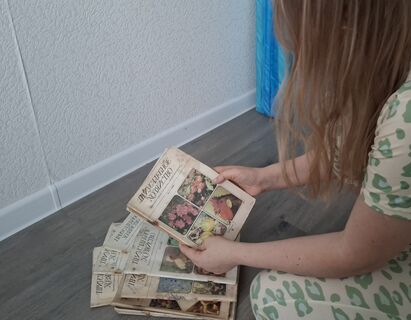 Дачный лайфхак из советского журнала 1988 года: контейнерная высадка томатов – 3 плюса методики из СССР