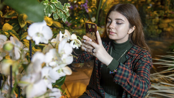 Ботанический сад