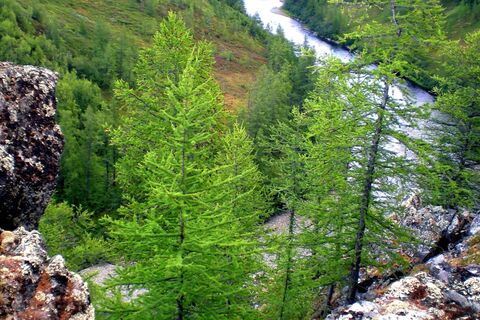 Национальный парк с пещерами, реликтовыми лесами, тайнами и призраками: рай для любителей природы и активного отдыха