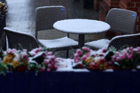 Петербург накануне похолодания: сады закрывают, а тротуары берут под контроль