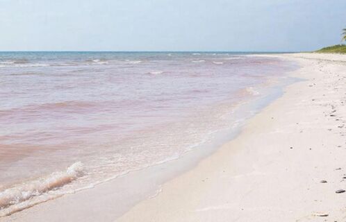 Пляж - чистый, вода - сказочно-розовая: Где в России находится такая красота?