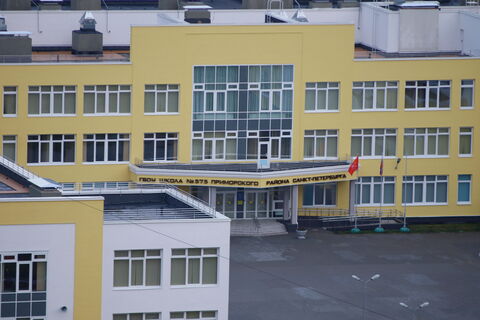 Эмоции опаснее рюкзака: омбудсмен против обысков в школе