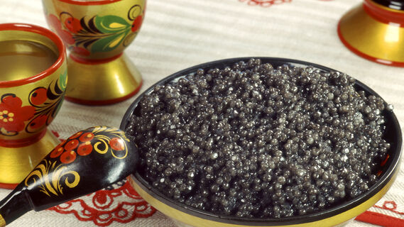 Черная икра