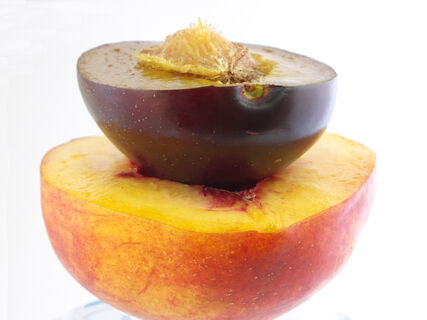 блюдо из слив