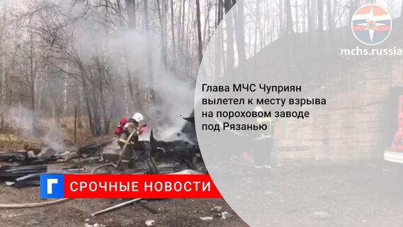 Глава МЧС Чуприян вылетел к месту взрыва на пороховом заводе под Рязанью