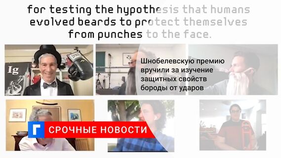 Шнобелевскую премию вручили за изучение защитных свойств бороды от ударов