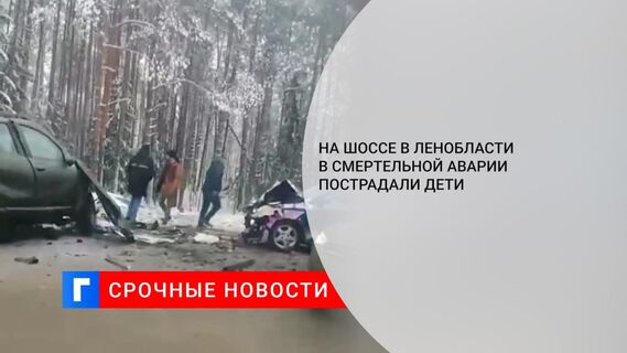 На шоссе в Ленобласти в смертельной аварии пострадали дети