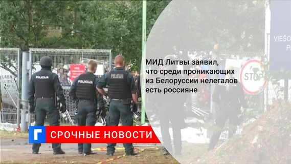 МИД Литвы заявил, что среди проникающих из Белоруссии нелегалов есть россияне