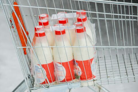 Охота на подделки: Петербург усиливает проверки молочки в магазинах