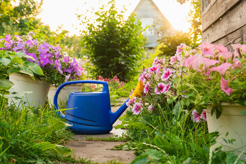 Городовой ру