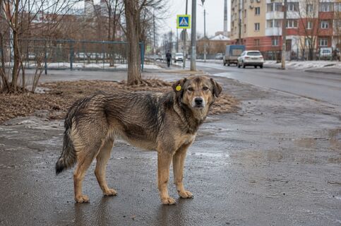 В России можно, а в Беларуси — нет: белоруска после переезда назвала отличия двух стран