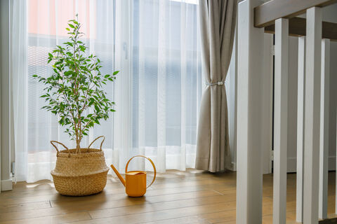 2 ложки в таз – и тюль станет белее первого снега: засияет чистотой как новый – еще и красивые складки сформирует 