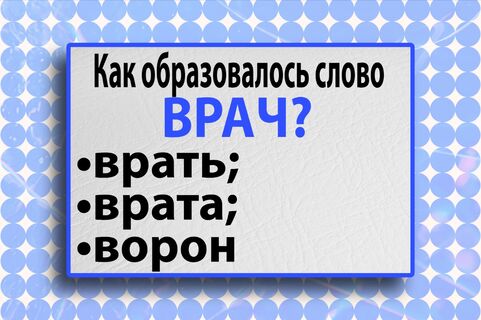 Даже филологи садятся в лужу: тест-минутка на знание русского языка – а вы справитесь? 