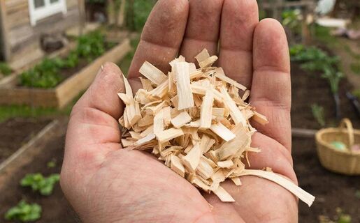 Начала использовать опилки на даче особым способом: Теперь от них не вред, а сплошная польза