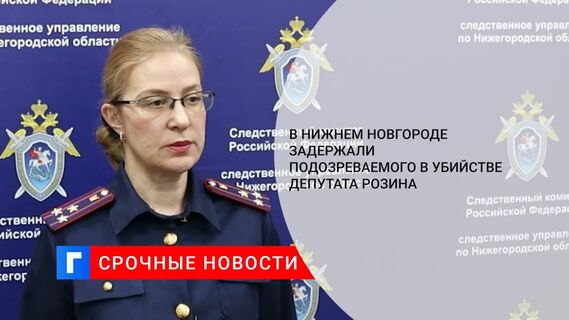 В Нижнем Новгороде задержали предполагаемого убийцу муниципального депутата Розина