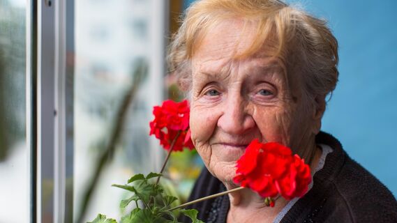 Как ухаживать за геранью в холода