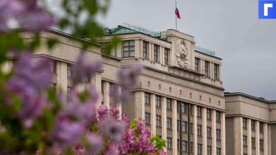 Госдума приняла поправки о мерах поддержки семей и беременных 