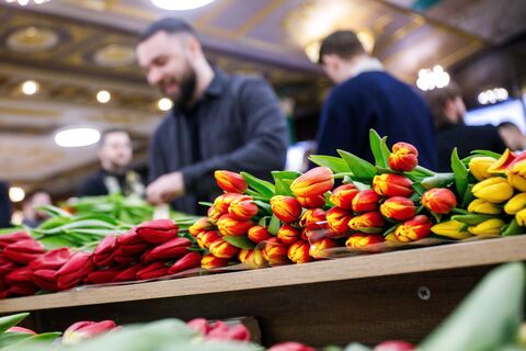 8 миллионов цветов штурмуют Петербург к 8 Марта: откуда везут и что под запретом
