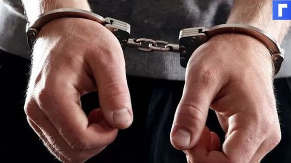 В Петербурге арестовали напавшего на сотрудников ДПС на незаконной акции