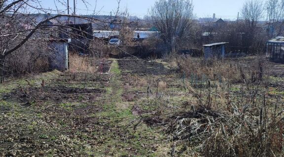 Не пырей и не крапива: вот что разрастается ковром и губит все живое – избавиться от него почти невозможно