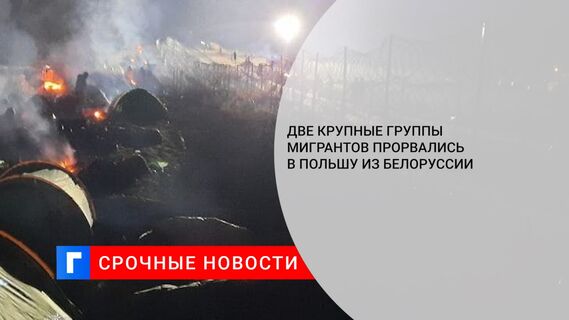 Две крупные группы мигрантов прорвались в Польшу из Белоруссии