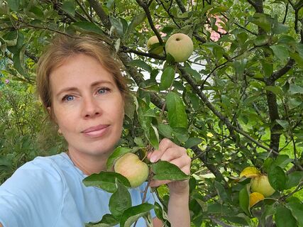 Под тяжестью плодов сломалась ветка: агроном Ксения Давыдова рассказала, как помочь дереву — важно действовать быстро