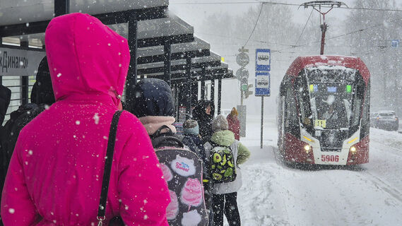 Трамваи Петербург