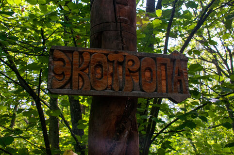 Экотропа в Ленобласти