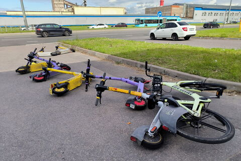 Шторм в Петербурге: 40 деревьев и 11 машин под ударом стихии