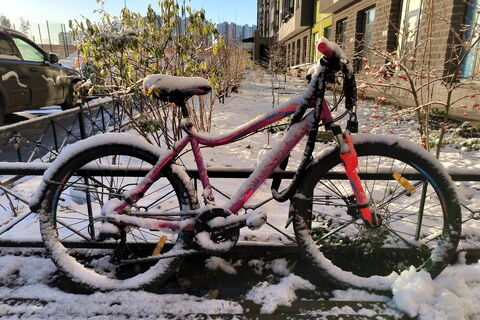 Маршруты, треки, бонусы: новый сервис для велосипедистов стартует в Петербурге